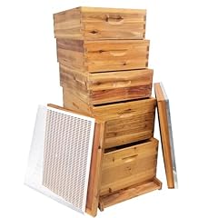 Wyueeee layer bee for sale  Delivered anywhere in USA 
