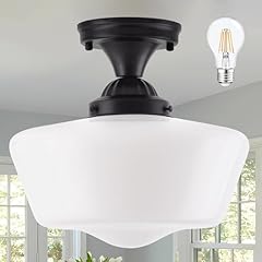 Ayshwilldec schoolhouse light for sale  Delivered anywhere in USA 