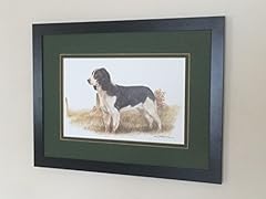 Springer spaniel joel for sale  Delivered anywhere in UK