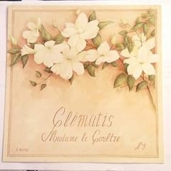 Postkarte clematis madame gebraucht kaufen  Wird an jeden Ort in Deutschland