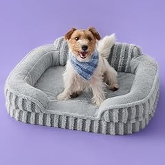 Sure cute dog for sale  Delivered anywhere in USA 