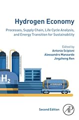 Hydrogen economy processes usato  Spedito ovunque in Italia 