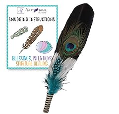 Activate smudge feather for sale  Delivered anywhere in USA 