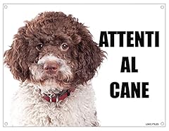 Lagotto attenti cane usato  Spedito ovunque in Italia 