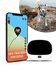 Paj gps pet for sale  Delivered anywhere in UK