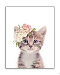 Kitten nursery wall for sale  Delivered anywhere in USA 