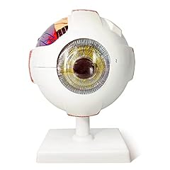 Evotech scientific human for sale  Delivered anywhere in USA 