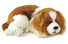 Cavalier King Peluche usato in Italia | vedi tutte i 25 prezzi!