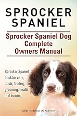 Sprocker spaniel. sprocker for sale  Delivered anywhere in UK