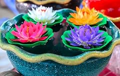 Lotus nelumbo nucifera gebraucht kaufen  Wird an jeden Ort in Deutschland