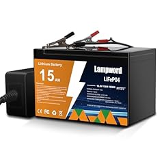 Lampword 12v lifepo4 for sale  Delivered anywhere in USA 