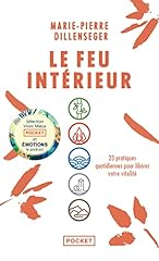 Feu intérieur pratiques d'occasion  Livré partout en France