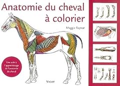 Anatomie cheval colorier d'occasion  Livré partout en Belgiqu