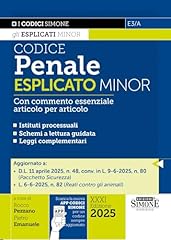 Codice penale esplicato usato  Spedito ovunque in Italia 