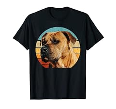 Pitbull dog cucciolo usato  Spedito ovunque in Italia 