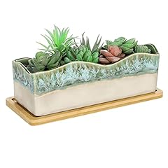 Mygift rectangular succulent for sale  Delivered anywhere in USA 