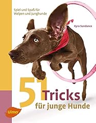 Tricks junge hunde gebraucht kaufen  Wird an jeden Ort in Deutschland