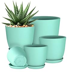 Utopia home plant for sale  Delivered anywhere in USA 