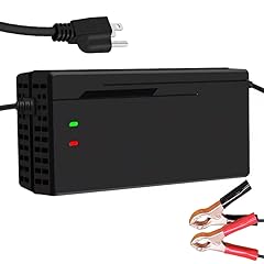 Dudhoik 36v 43.8v for sale  Delivered anywhere in USA 