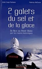 Galets sel glace d'occasion  Livré partout en Belgiqu