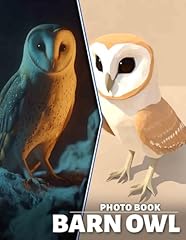 Barn owl photo d'occasion  Livré partout en France