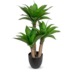 Briful 23.7 agave for sale  Delivered anywhere in USA 