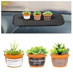 Lloussak mini succulent for sale  Delivered anywhere in UK