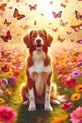 Brittany spaniel field for sale  Delivered anywhere in UK