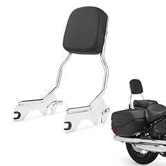 Sissy bar staccabile usato  Spedito ovunque in Italia 
