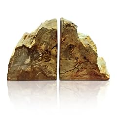 Petrified wood bookends for sale  Delivered anywhere in USA 