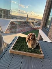 Real grass dog for sale  Delivered anywhere in UK