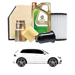 Tagliando per tiguan usato  Spedito ovunque in Italia 