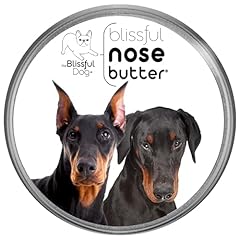 Blissful dog doberman for sale  Delivered anywhere in USA 