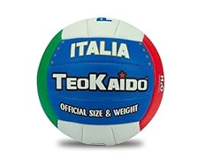 Teokaido pallone pallavolo usato  Spedito ovunque in Italia 