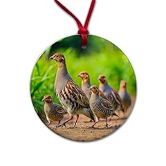 Family partridge birds for sale  Delivered anywhere in USA 