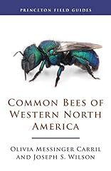 Common bees western for sale  Delivered anywhere in USA 
