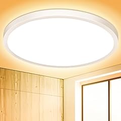 Deckenlampe led deckenleuchte gebraucht kaufen  Wird an jeden Ort in Deutschland