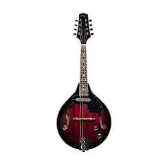 Stagg mandolino elettrico usato  Spedito ovunque in Italia 