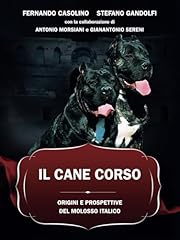 Cane corso origini usato  Spedito ovunque in Italia 