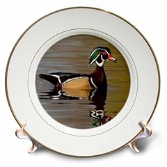 Rose wood duck for sale  Delivered anywhere in USA 