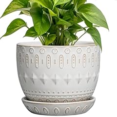 Epgardening ceramic plant for sale  Delivered anywhere in USA 