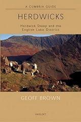 Herdwicks herdwick sheep for sale  Delivered anywhere in UK