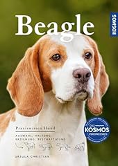 Beagle auswahl haltung gebraucht kaufen  Wird an jeden Ort in Deutschland