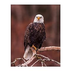 Mighty bald eagle for sale  Delivered anywhere in USA 