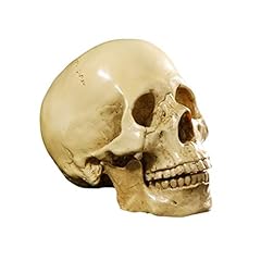 Life size replica for sale  Delivered anywhere in UK