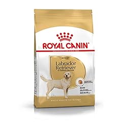 Royal canin labrador for sale  Delivered anywhere in UK