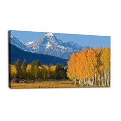 Large wall art for sale  Delivered anywhere in USA 