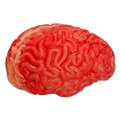 Widmann 46906 cerveau d'occasion  Livré partout en Belgiqu
