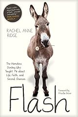 Flash homeless donkey for sale  Delivered anywhere in USA 