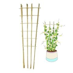 Natural bamboo trellis for sale  Delivered anywhere in USA 